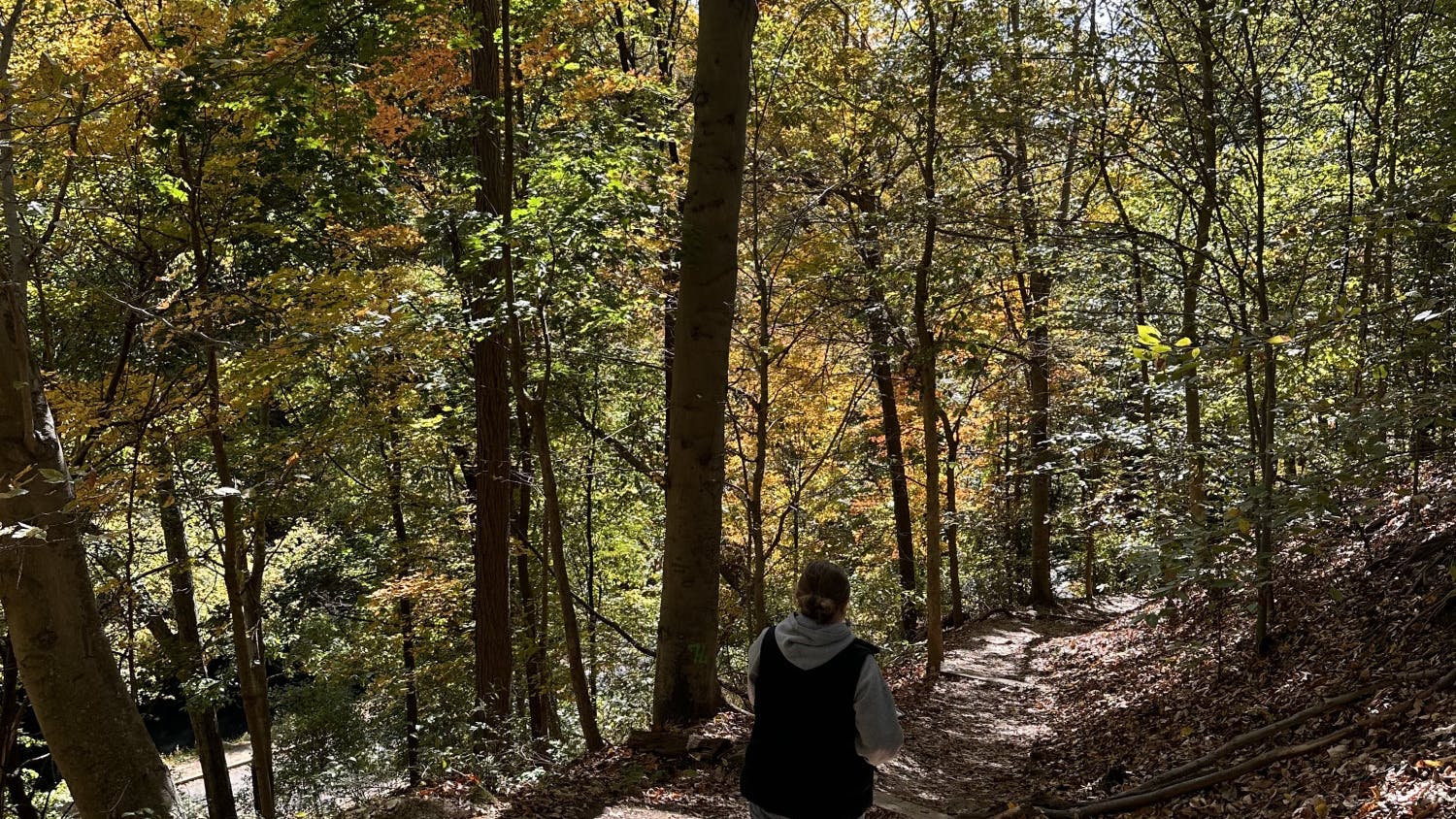 best places to hike in the DMV