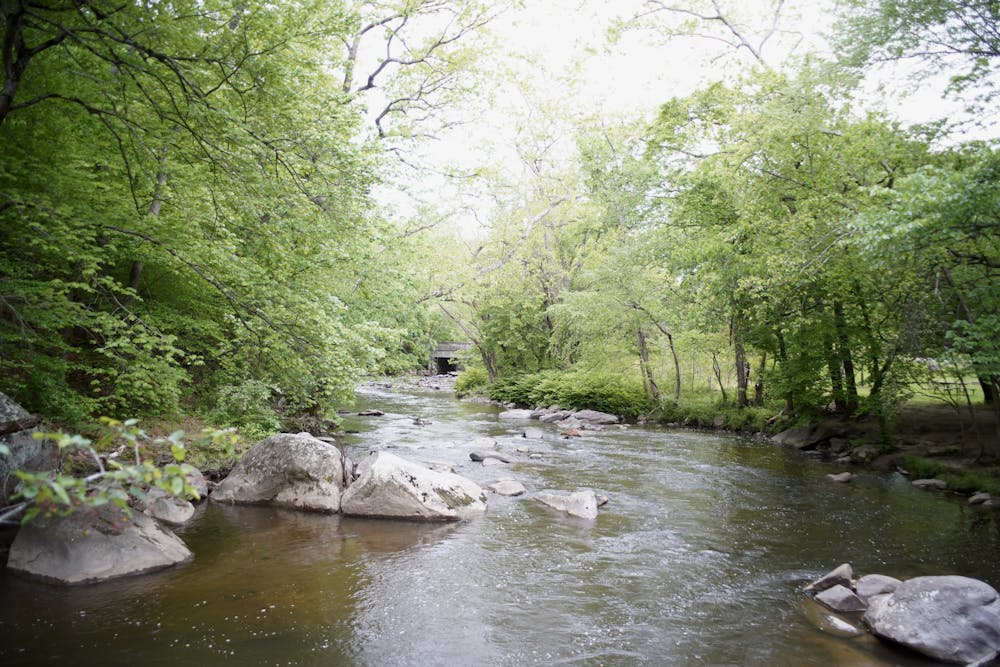 rock creek park pic